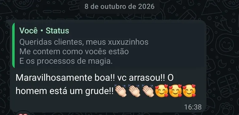 Print de conversa no WhatsApp: a cliente responde ao status da Adséia, Maravilhosamente boa, vc arrasou, o homem está um grude